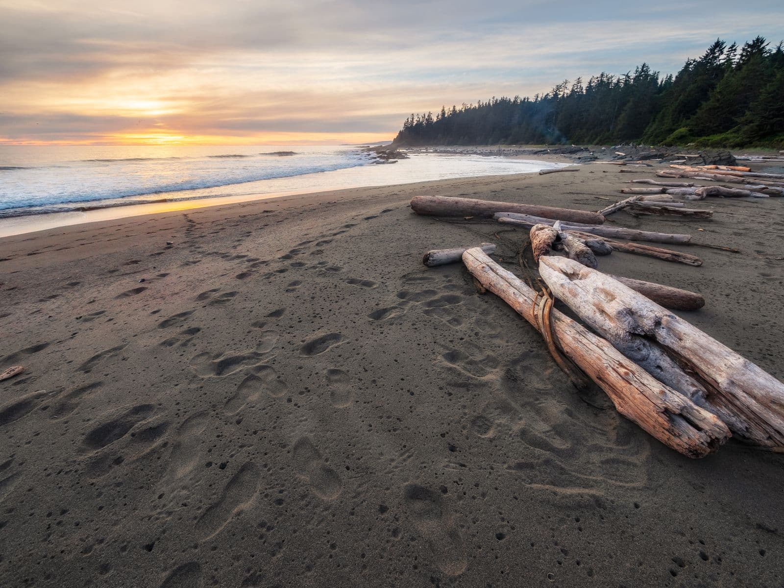 Driftwood logs on a sandy British Columbia beach at sunset