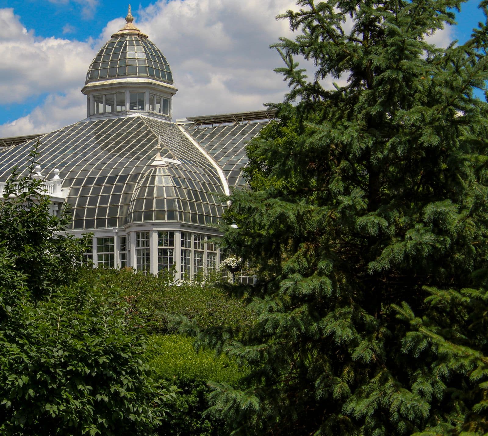 A glass-domed conservatory behind trees and greenery under a blue sky
