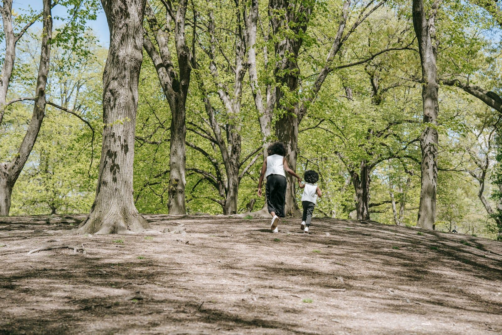A parent and child, seen from behind, walking hand in hand through a sunlit wooded park
